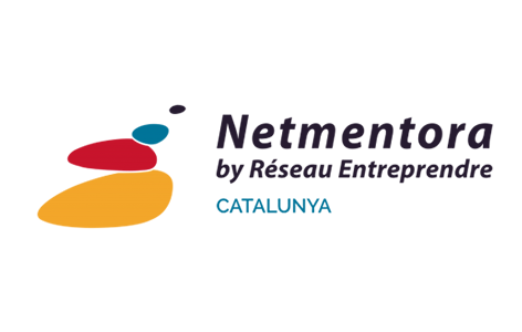 logo Netmentora